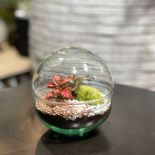 Charger l'image dans la galerie, Terrarium Luna Medium