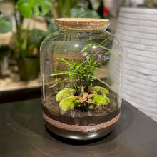 Charger l'image dans la galerie, Réalisez votre terrarium XXL en DUO à 4 mains - Atelier 4 & Carte cadeau