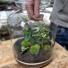 Charger l'image dans la galerie, Réalisez votre terrarium XXL en DUO à 4 mains - Atelier 4 & Carte cadeau