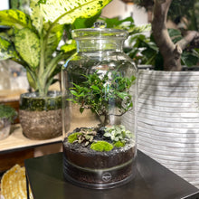 Charger l'image dans la galerie, Terrarium Giant XXLarge