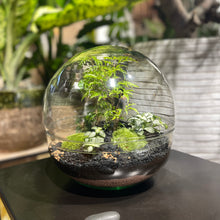 Charger l'image dans la galerie, Terrarium Luna XXLarge