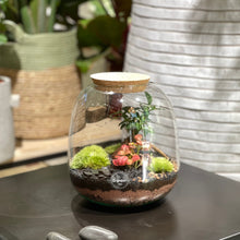 Charger l'image dans la galerie, Terrarium Bubble L