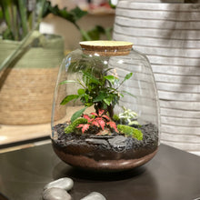 Charger l'image dans la galerie, Terrarium Bubble XL