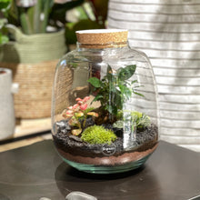 Charger l'image dans la galerie, Terrarium Bubble XL