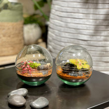 Charger l'image dans la galerie, Terrarium Luna Medium