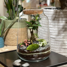Charger l'image dans la galerie, Terrarium Oslo XL