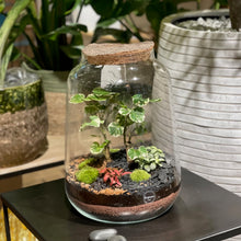 Charger l'image dans la galerie, Terrarium Oslo XL