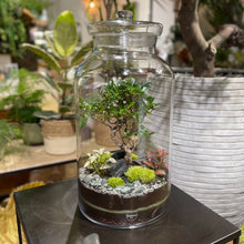 Charger l'image dans la galerie, Terrarium Giant XXLarge
