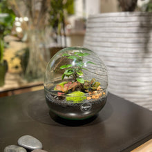 Charger l'image dans la galerie, Terrarium Luna Large