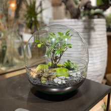 Charger l'image dans la galerie, Terrarium Luna XXLarge