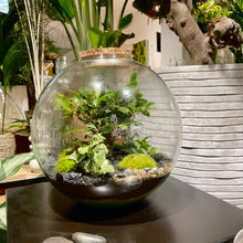 Charger l'image dans la galerie, Terrarium Planet XXLarge