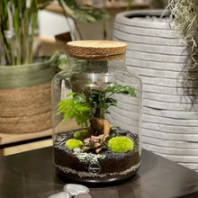 Charger l'image dans la galerie, Terrarium Primo XL