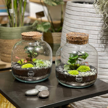Charger l'image dans la galerie, Terrarium Buddha M