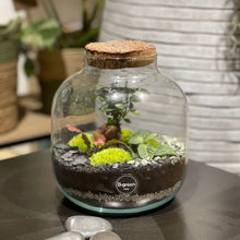 Charger l'image dans la galerie, Terrarium Buddha M