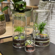 Charger l'image dans la galerie, Terrarium Cylindro Large