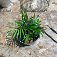 Charger l'image dans la galerie, Créez votre terrarium Cylindro XL - Atelier 2 & Carte cadeau