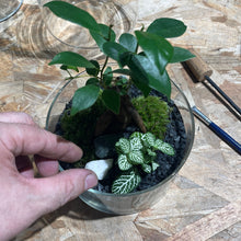 Charger l'image dans la galerie, Créez votre terrarium Cylindro XL - Atelier 2 & Carte cadeau