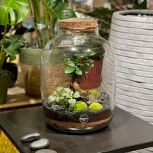 Charger l'image dans la galerie, Terrarium Buddha XL