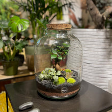 Charger l'image dans la galerie, Terrarium Buddha XL