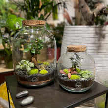 Charger l'image dans la galerie, Terrarium Buddha XL