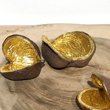Charger l'image dans la galerie, Coquille de Noix de Badam et feuilles d'Or