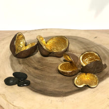 Charger l'image dans la galerie, Coquille de Noix de Badam et feuilles d'Or
