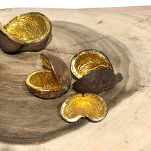 Charger l'image dans la galerie, Coquille de Noix de Badam et feuilles d'Or