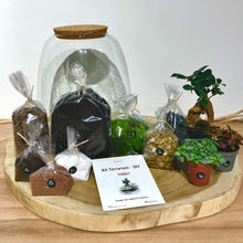 Charger l'image dans la galerie, Kit DIY Terrarium Bubble L - 2 plantes à personnaliser