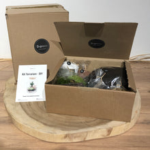 Charger l'image dans la galerie, Kit DIY Terrarium Bubble L - 2 plantes à personnaliser