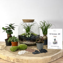 Charger l'image dans la galerie, Kit DIY Terrarium Bubble L - 2 plantes à personnaliser