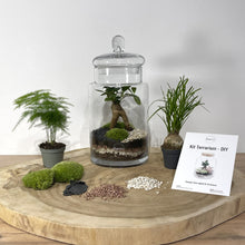 Charger l'image dans la galerie, Kit DIY Terrarium Carla Large - 1 plante principale à personnaliser