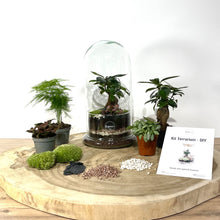 Charger l'image dans la galerie, Kit DIY Terrarium Dôme Large - 2 plantes à personnaliser