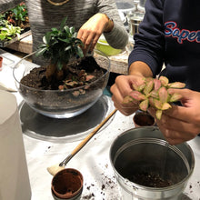 Charger l'image dans la galerie, Réalisez votre terrarium XXL en DUO à 4 mains - Atelier 4 & Carte cadeau