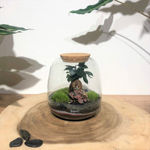 Charger l'image dans la galerie, Terrarium Bubble L