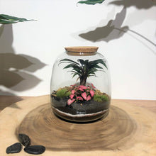 Charger l'image dans la galerie, Terrarium Bubble L