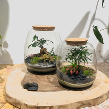 Charger l'image dans la galerie, Terrarium Bubble L