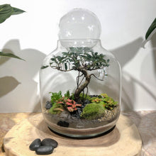 Charger l'image dans la galerie, avec sphère verre
