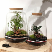 Charger l'image dans la galerie, Terrarium Oslo XL