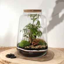 Charger l'image dans la galerie, Terrarium Oslo XL