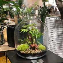 Charger l'image dans la galerie, Terrarium Big Buddha XXLarge