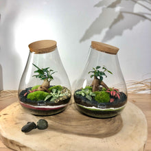 Charger l'image dans la galerie, Terrarium Goutte Large