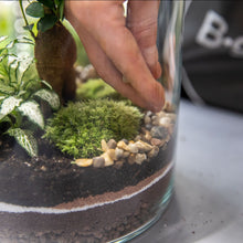 Charger l'image dans la galerie, Créez un terrarium à votre image - Atelier 1 & Carte cadeau