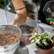 Charger l'image dans la galerie, Créez un terrarium à votre image - Atelier 1 & Carte cadeau