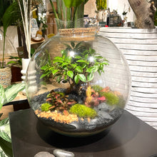 Charger l'image dans la galerie, Terrarium Planet XXLarge
