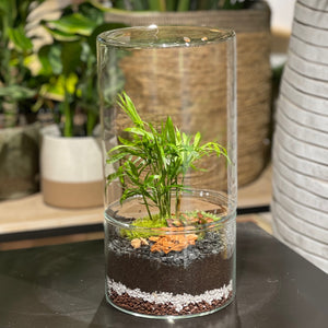 Créez votre terrarium Cylindro XL - Atelier 2 & Carte cadeau