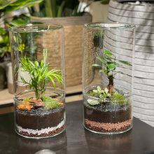 Charger l&#39;image dans la galerie, Créez votre terrarium Cylindro XL - Atelier 2 &amp; Carte cadeau
