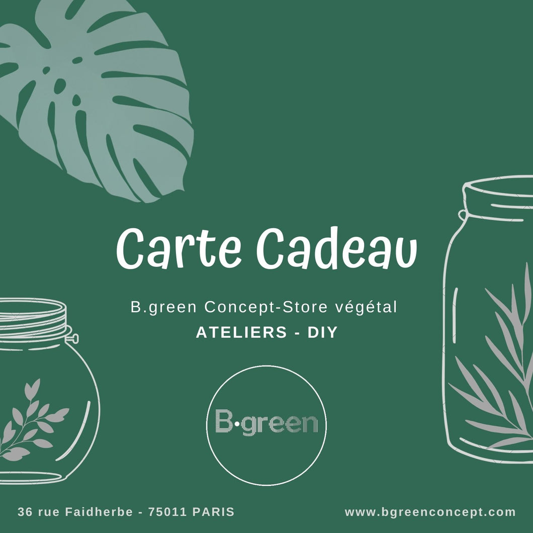 Atelier 4  & Carte cadeau - Terrarium XXL en DUO à 4 mains