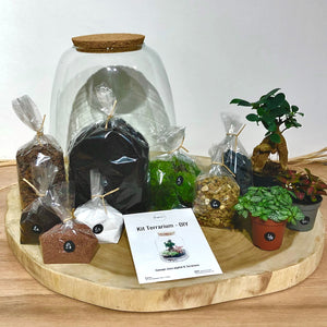 Kit DIY Terrarium Bubble L - 2 plantes à personnaliser