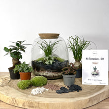 Charger l&#39;image dans la galerie, Kit DIY Terrarium Bubble L - 2 plantes à personnaliser
