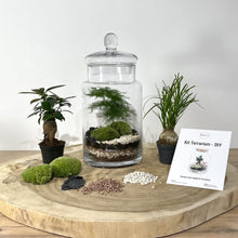Charger l&#39;image dans la galerie, Kit DIY Terrarium Carla Large - 1 plante principale à personnaliser

